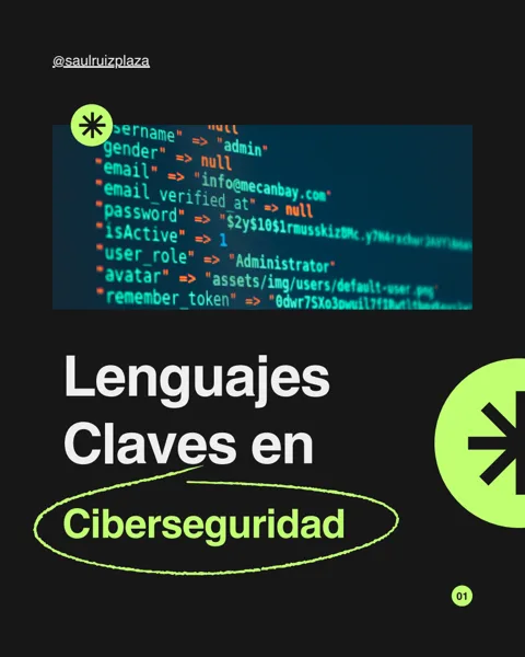 Portada del recurso: Lenguajes de programación útiles en ciberseguridad